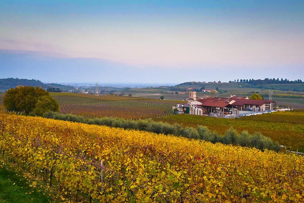 Azienda Agricola Cavalchina