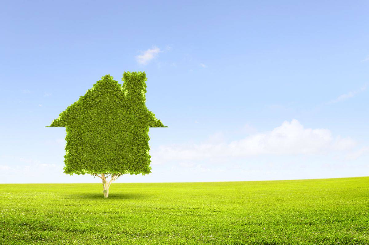 Asothermal: Clarity on the 'case green' directive and boilers