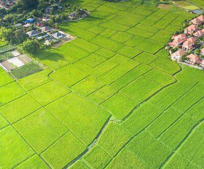 Building abuses, what happens if they are built straddling non-homogeneous areas?