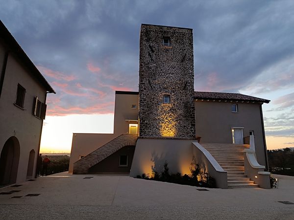 Cantina Tenimenti Leone: Ingegneria di precisione per l'enologia e l'ospitalità