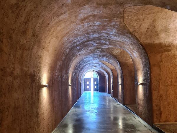 Cantina Tenimenti Leone: Ingegneria di precisione per l'enologia e l'ospitalità