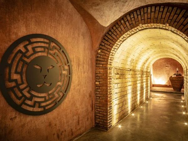 Cantina Tenimenti Leone: Ingegneria di precisione per l'enologia e l'ospitalità