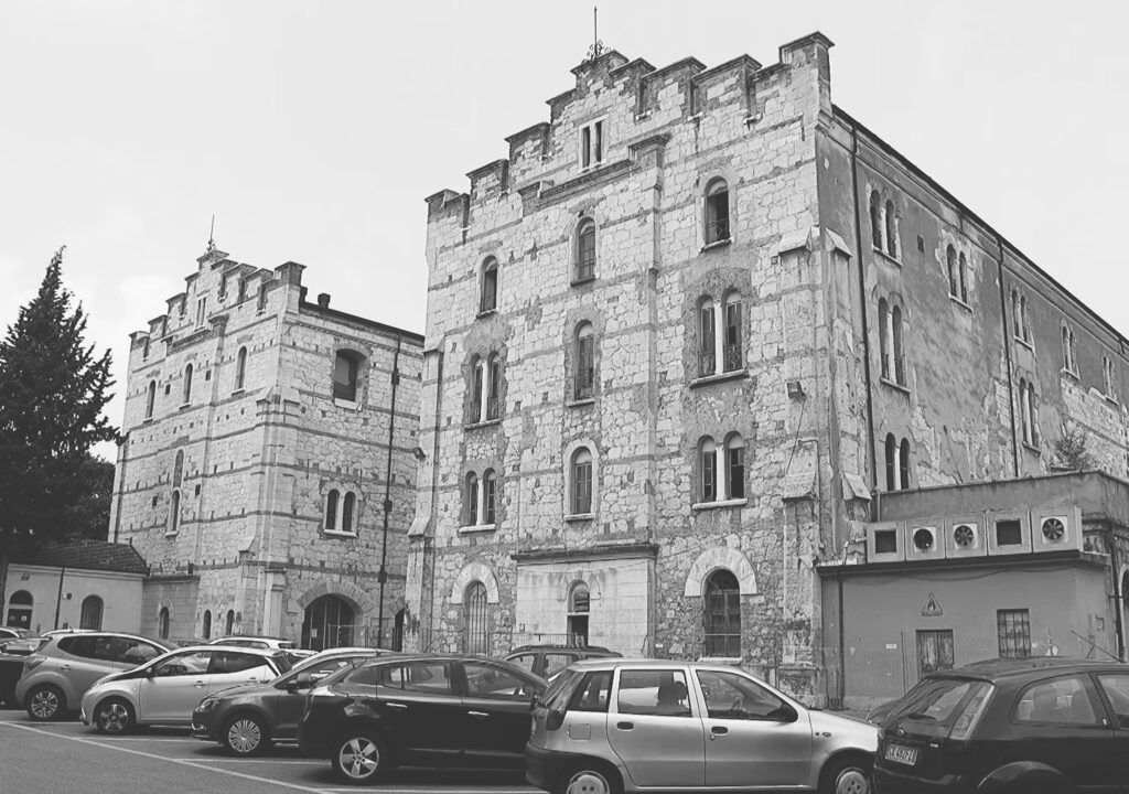 Università degli Studi di Verona