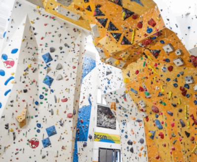 Palestra King Rock Progetto Dabster